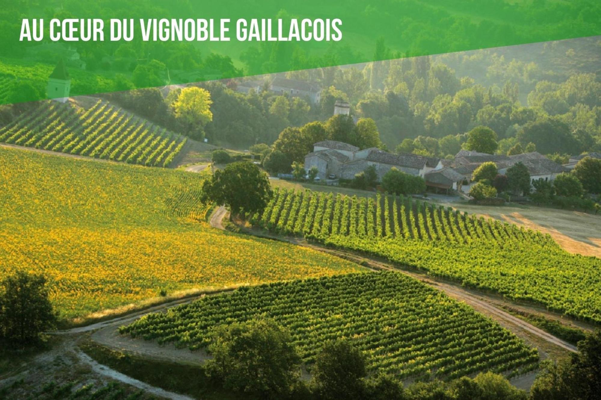 Le Cottage Nature Vigne Rouge Sauna Gaillac Entre Albi-Toulouse & Les Cottages Du Tarn Brens  Exterior photo
